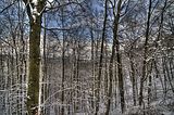 landgrafenschlucht-17-01-16-170