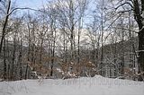 landgrafenschlucht-17-01-16-171
