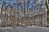 landgrafenschlucht-17-01-16-172