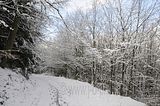 landgrafenschlucht-17-01-16-173