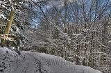 landgrafenschlucht-17-01-16-174