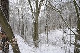landgrafenschlucht-17-01-16-175