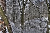 landgrafenschlucht-17-01-16-176