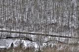 landgrafenschlucht-17-01-16-182