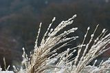 macro_001