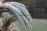 macro_002