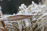 macro_003