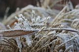 macro_004