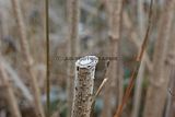 macro_014