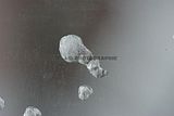 macro_019