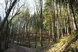 schauenburg_03_2017_03