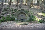 schauenburg_03_2017_05