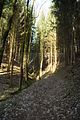 schauenburg_03_2017_06