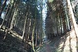 schauenburg_03_2017_07