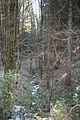 schauenburg_03_2017_09