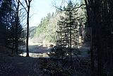 schauenburg_03_2017_11