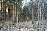 schauenburg_03_2017_13