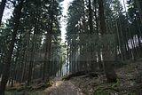schauenburg_03_2017_14