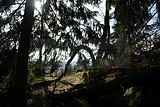 schauenburg_03_2017_16