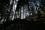 schauenburg_03_2017_19