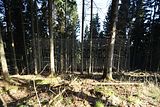 schauenburg_03_2017_20