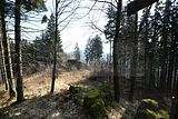 schauenburg_03_2017_22