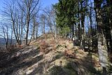schauenburg_03_2017_23