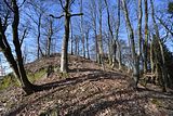 schauenburg_03_2017_24