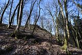 schauenburg_03_2017_25