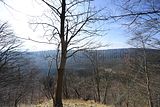 schauenburg_03_2017_26