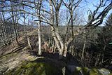 schauenburg_03_2017_30