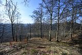 schauenburg_03_2017_31