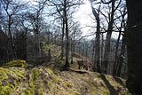schauenburg_03_2017_34
