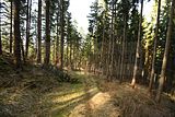 schauenburg_03_2017_38