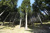schauenburg_03_2017_42