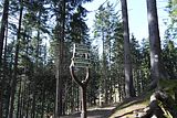 schauenburg_03_2017_44