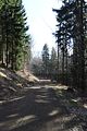 schauenburg_03_2017_46