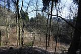 schauenburg_03_2017_47
