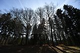 schauenburg_03_2017_48