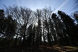 schauenburg_03_2017_49
