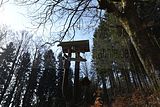 schauenburg_03_2017_50