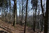 schauenburg_03_2017_52