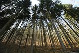 schauenburg_03_2017_53