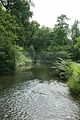 schlosspark-tiefurt-2009-003