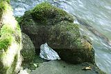 schlosspark-tiefurt-2009-011