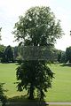 schlosspark-tiefurt-2009-017