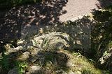 schlosspark-tiefurt-2009-025
