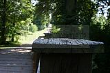 schlosspark-tiefurt-2009-032