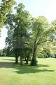 schlosspark-tiefurt-2009-035