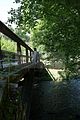 schlosspark-tiefurt-2009-038